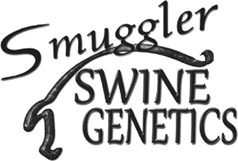 Smuggler Swine Genetics logo
